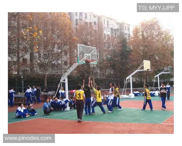 南京篮球队的节奏探讨与发展之路：聚焦篮球运动的未来与挑战