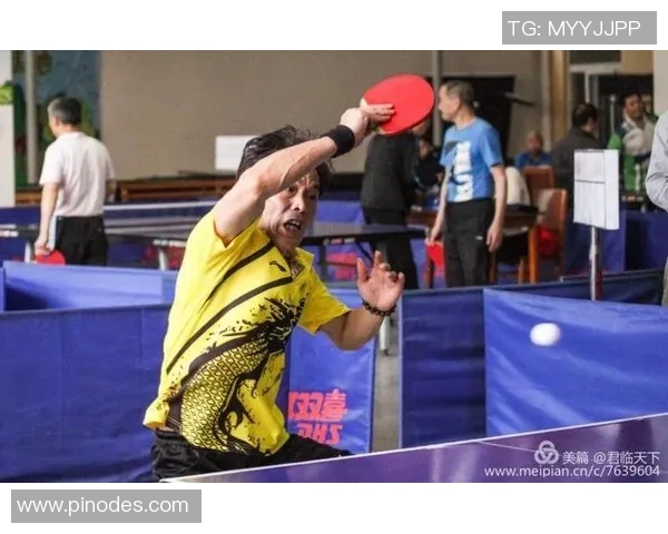 广州乒乓球队技术解析与训练方法探讨助力乒乓球水平提升