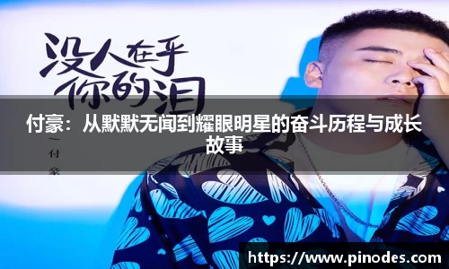 付豪：从默默无闻到耀眼明星的奋斗历程与成长故事